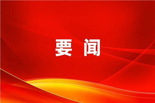 中國有色金屬工業協會副會長王健一行蒞臨方恒新材調研指導